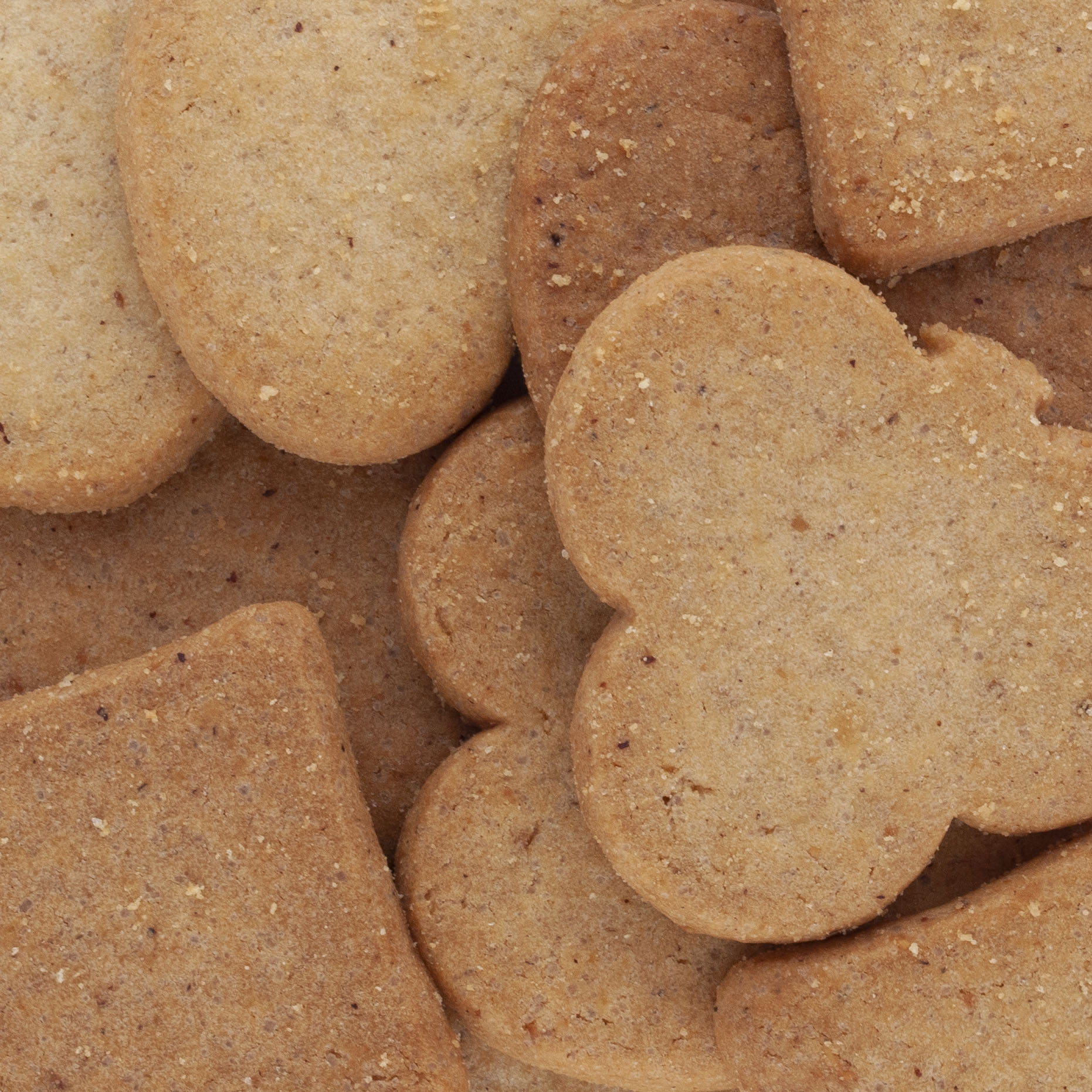 CROQUANTS NOISETTE