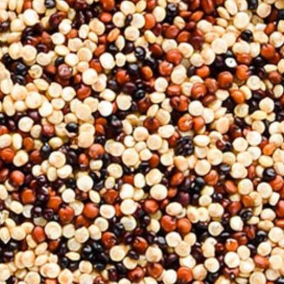 TRIO DE QUINOA BIO