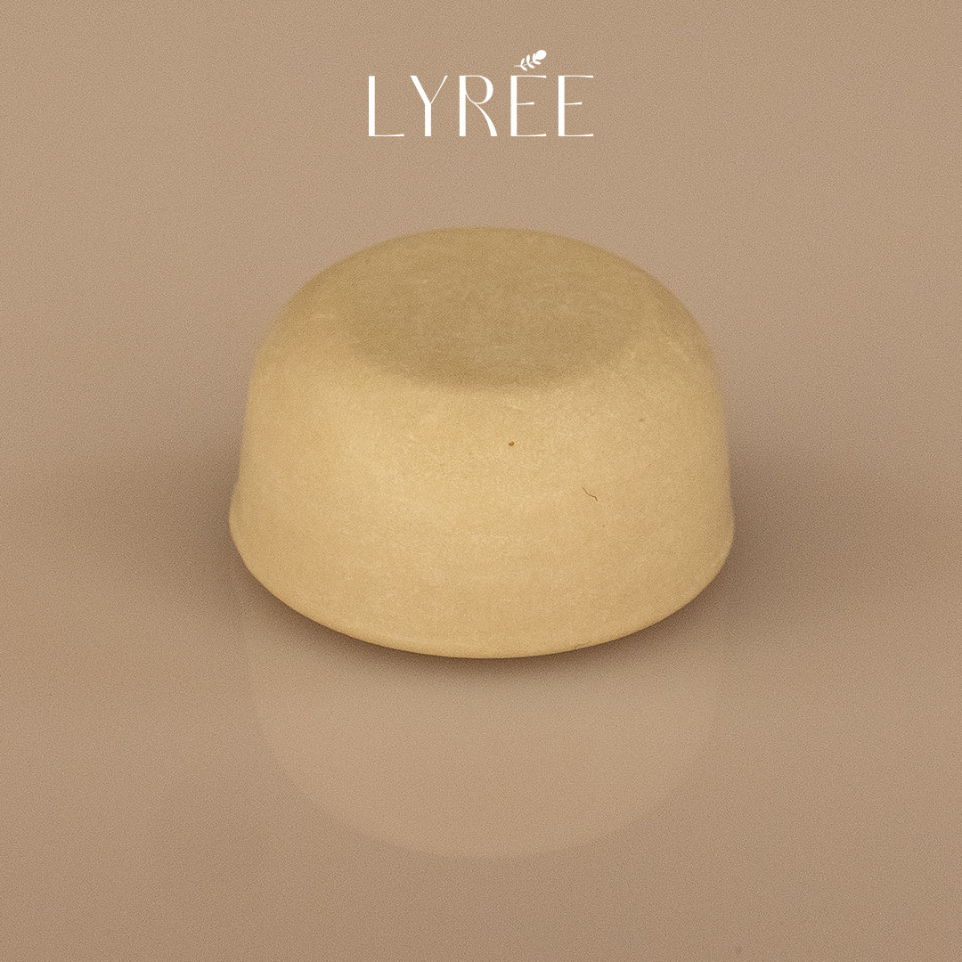 DENTIFRICE SOLIDE MENTHE LYREE 20 ML