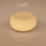61839-shampoing-solide-tous-type-cheveux-lyree-85ml