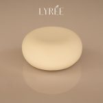 61843-solide-vaisselle-lyree-85ml