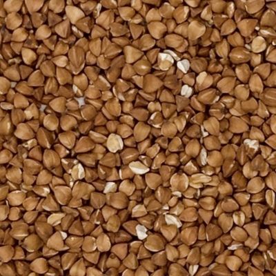 KASHA BIO