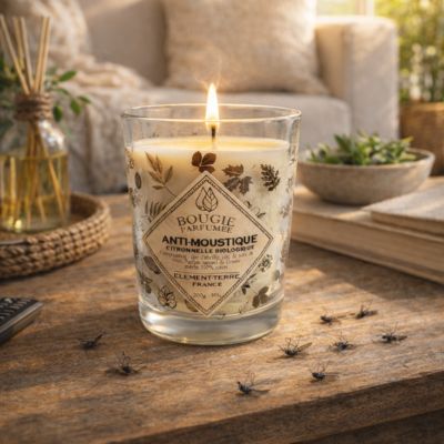 BOUGIE CITRONELLE BIO 200G