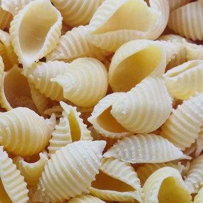 CONCHIGLIE QUALITE SUPERIEURE